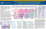 Stowell Symposium Poster 2026 - Shafagh Parsazad, M.D.