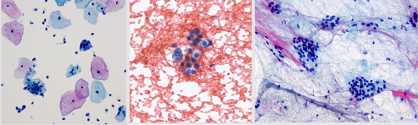 Cytology homepage