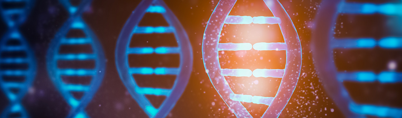 Close-up of a DNA Strand