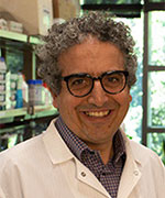 Roy Ben-Shalom, Ph.D.